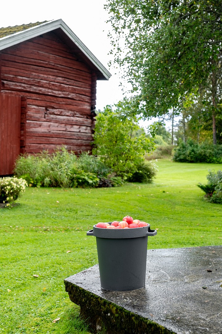 Orthex bin full of apples in the yard