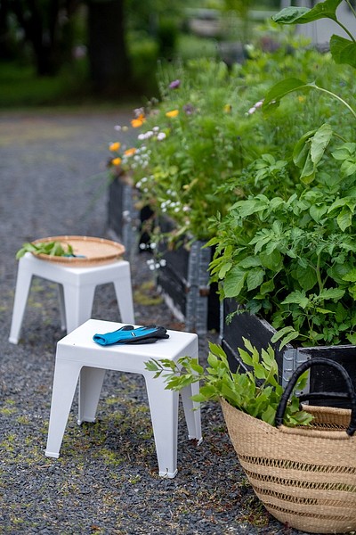Orthex stools in a garden