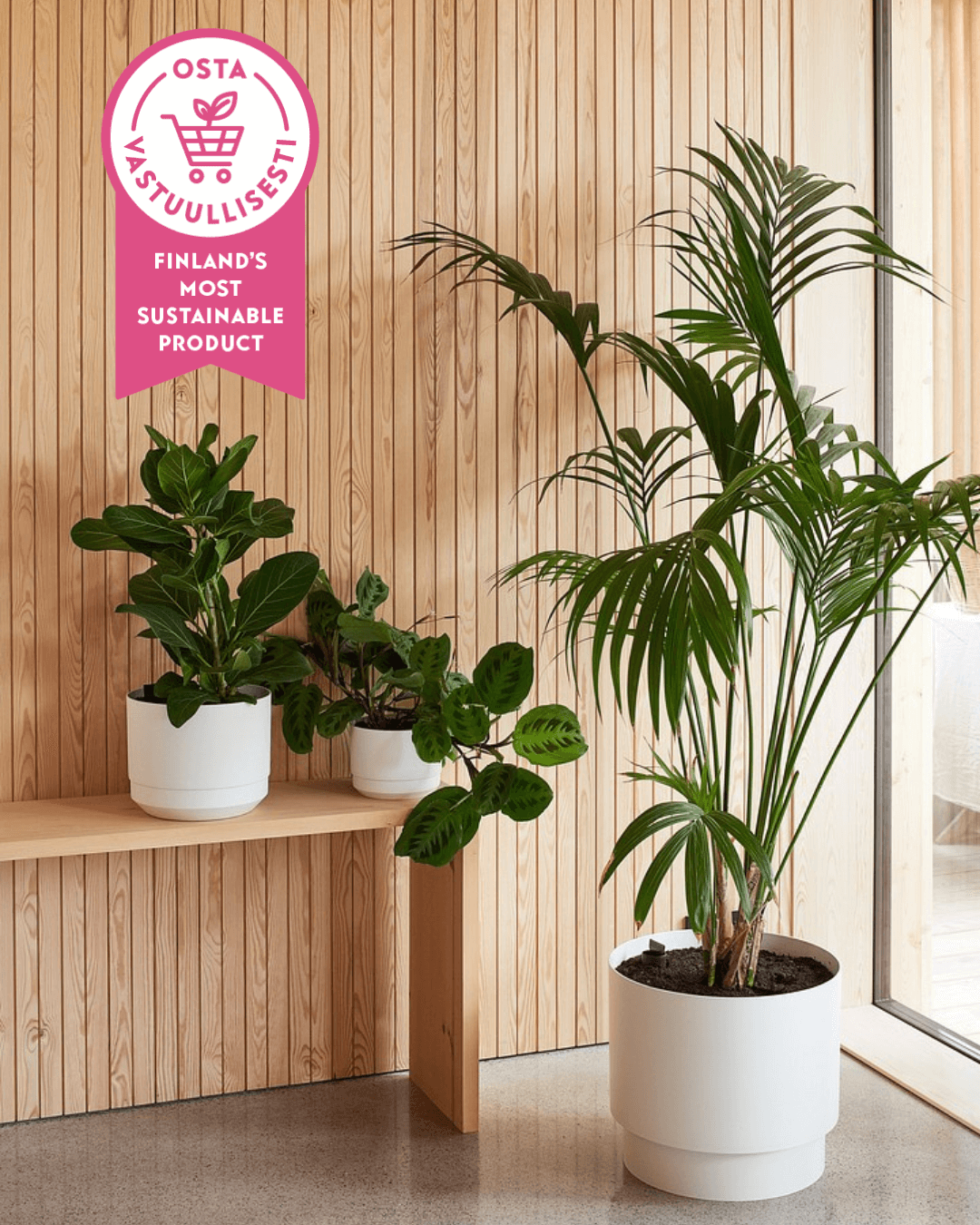 Orthex Paulina self-watering pots with Finland's Most Sustainable Product 2026 logo