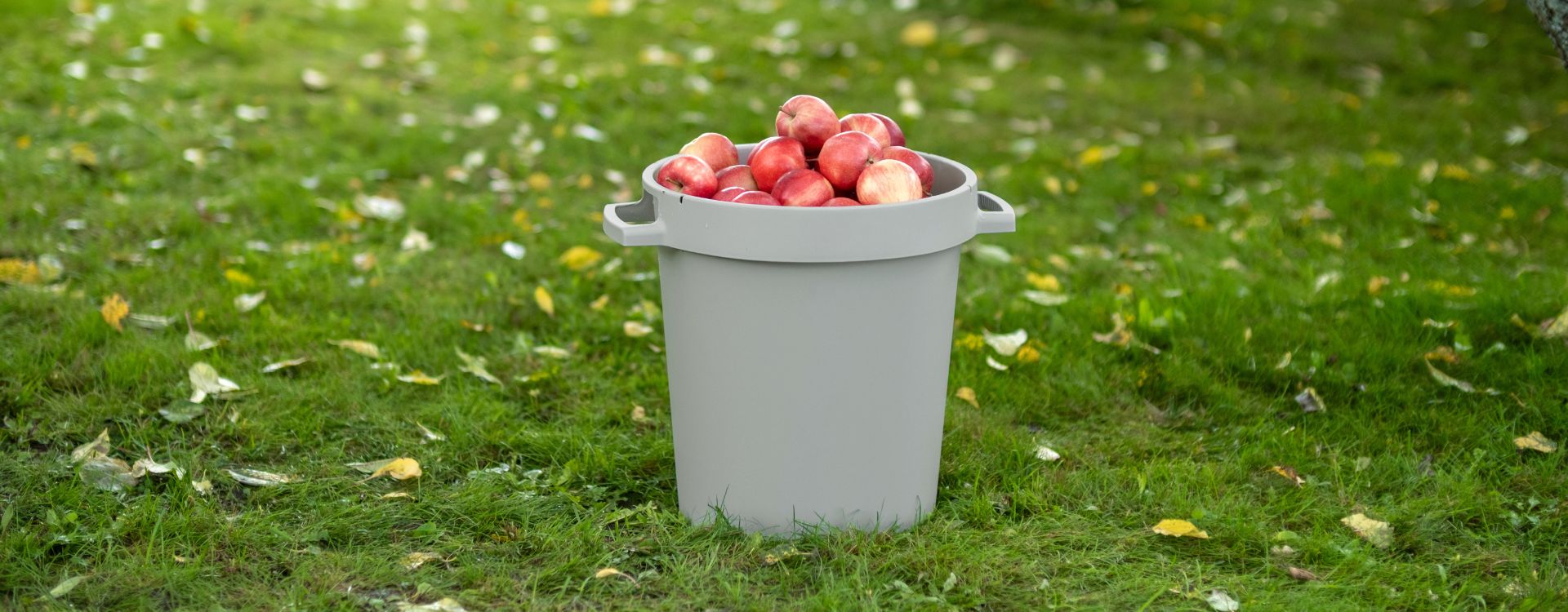 Ta tillvara på vad naturen ger