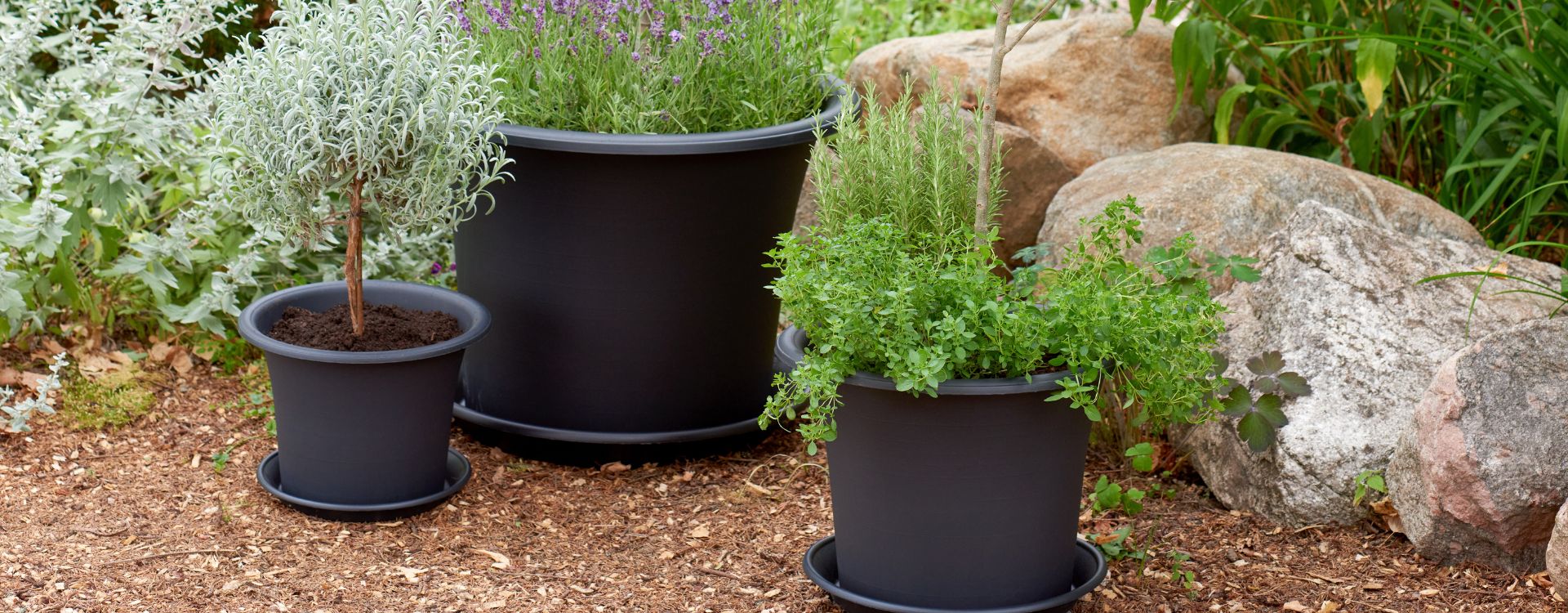 Skötselråd för plastkrukor