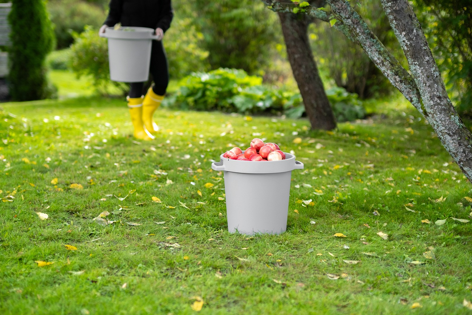 Ta tillvara på vad naturen ger