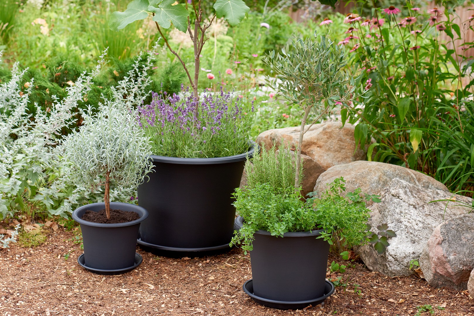 Skötselråd för plastkrukor